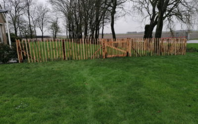 Schapenhek en Schapengaas Lelystad Flevoland