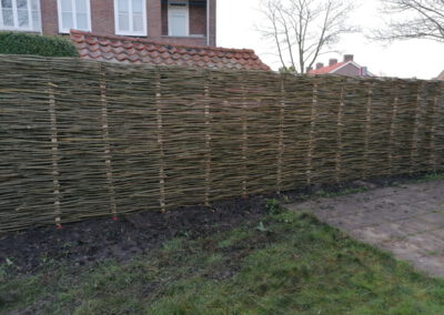 wilgenschutting-middelburg-zeeland-007